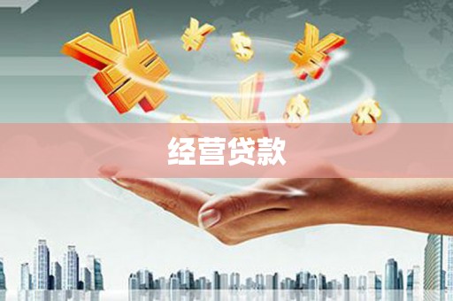 雄县经营贷款