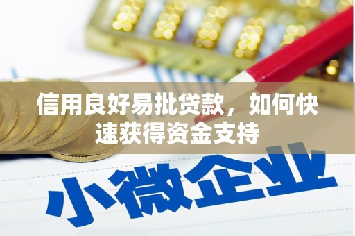 雄县信用良好易批贷款，如何快速获得资金支持