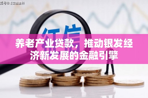 雄县养老产业贷款，推动银发经济新发展的金融引擎