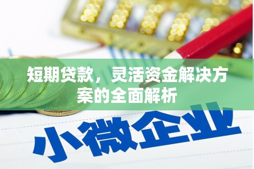 雄县短期贷款，灵活资金解决方案的全面解析