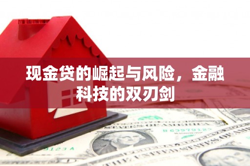 雄县现金贷的崛起与风险，金融科技的双刃剑