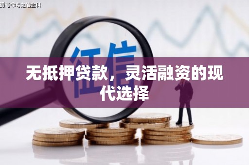 雄县无抵押贷款，灵活融资的现代选择