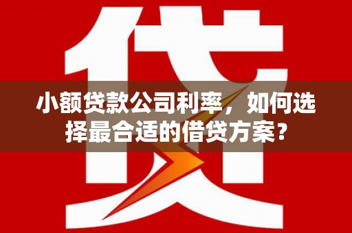 雄县小额贷款公司利率，如何选择最合适的借贷方案？