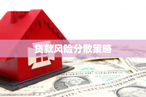 雄县贷款风险分散策略