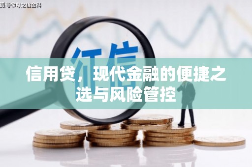 雄县信用贷，现代金融的便捷之选与风险管控