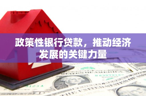 雄县政策性银行贷款，推动经济发展的关键力量