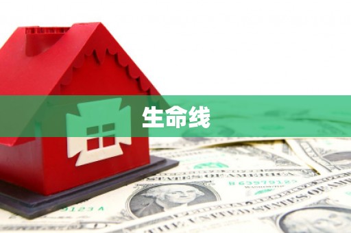 雄县生命线