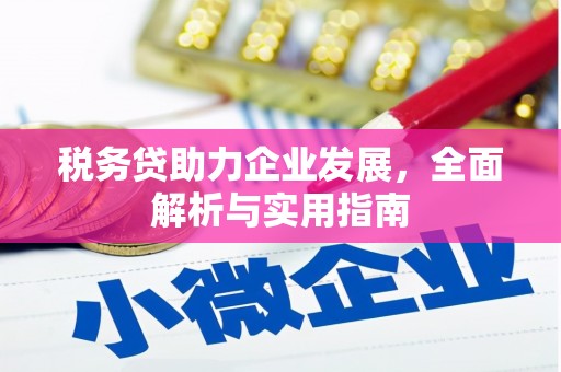 雄县税务贷助力企业发展，全面解析与实用指南