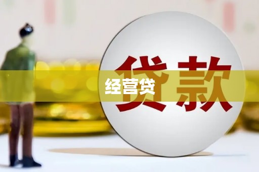 雄县经营贷