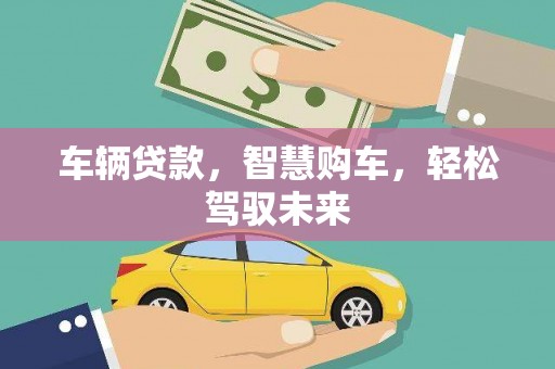 雄县车辆贷款，智慧购车，轻松驾驭未来