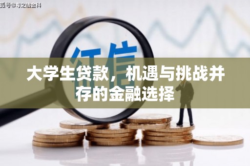 雄县大学生贷款，机遇与挑战并存的金融选择