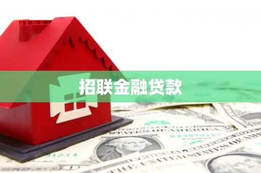 雄县招联金融贷款