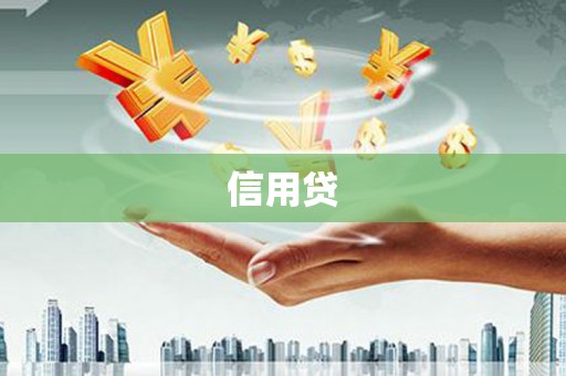 雄县信用贷