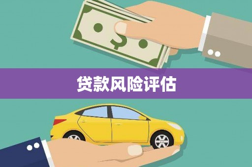 雄县贷款风险评估