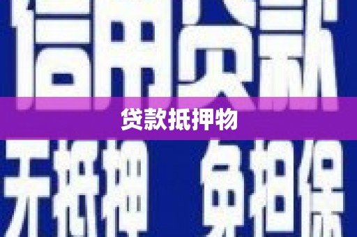 雄县贷款抵押物