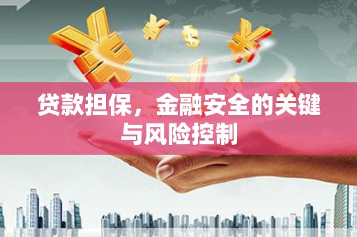 雄县贷款担保，金融安全的关键与风险控制