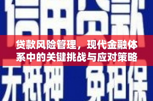 雄县贷款风险管理，现代金融体系中的关键挑战与应对策略