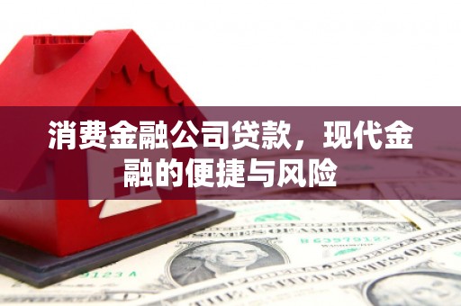 雄县消费金融公司贷款，现代金融的便捷与风险