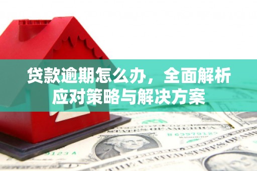 雄县贷款逾期怎么办，全面解析应对策略与解决方案