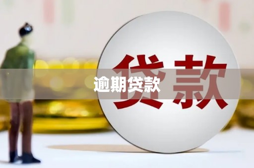 雄县逾期贷款
