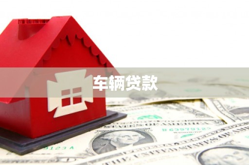 雄县车辆贷款