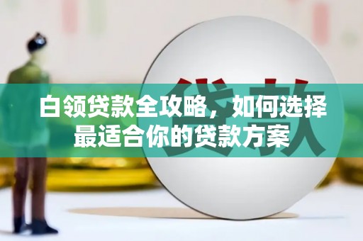 雄县白领贷款全攻略，如何选择最适合你的贷款方案